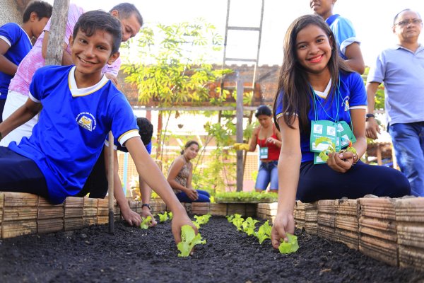 Projeto estimula alunos e pais a cultivarem hortas para uma alimentação mais saudável