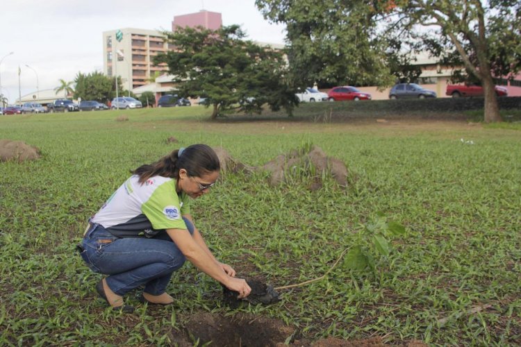 Prefeitura e Hospital Regional realizam projeto de arborização