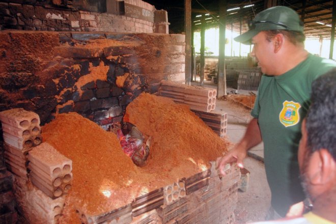 Incinerados 83 ovos de quelônios e animal encontrado morto durante operação