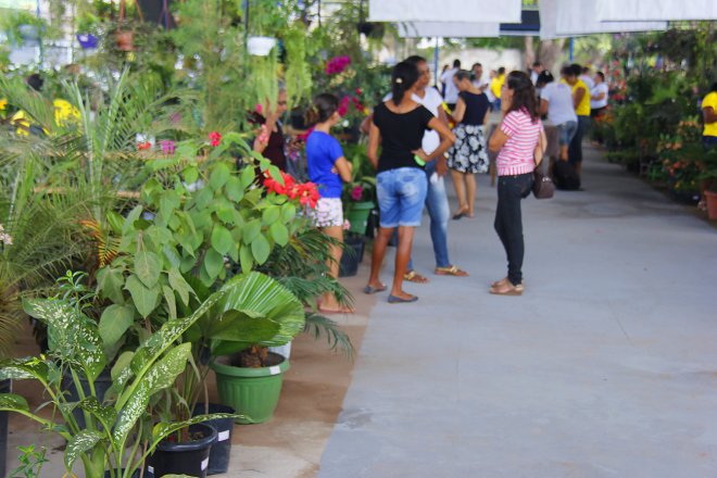 Festa marca 1º ano do Mercado das Flores