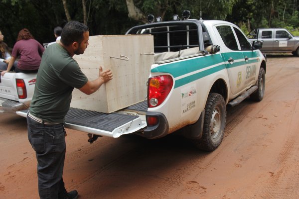 Após reabilitação, 39 animais silvestres são soltos na Flona do Tapajós