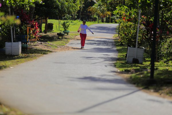 Parque da cidade comemora 10 anos de implantação