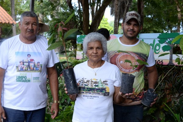 Prefeitura distribui mudas de plantas em celebração ao Dia da Árvore