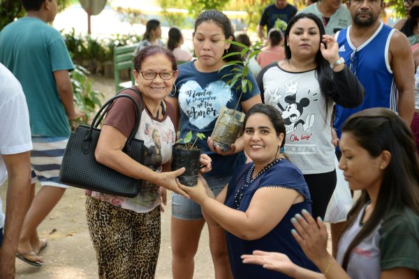 Mudas de plantas são distribuídas em apoio ao "Natal Sem Fome" da Pastoral do Menor