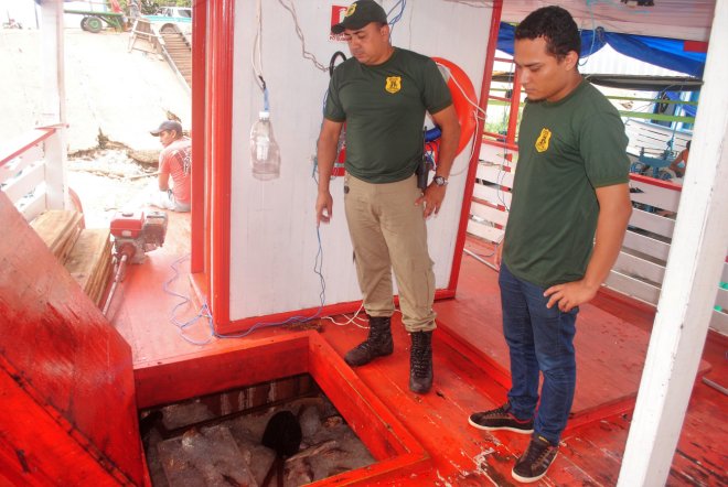 Aproximadamente 8 toneladas de pescado sem procedência são apreendidas