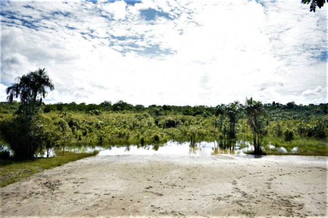 Floresta Encantada é o destaque da semana para os amantes do Turismo de Natureza