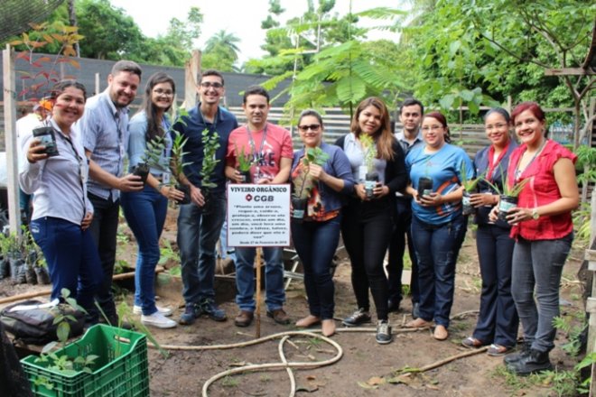 Parque da Cidade ganha viveiro de plantas medicinais