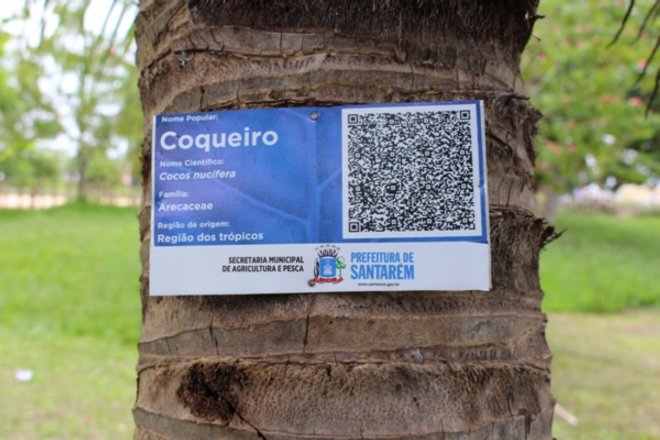 Árvores do Parque da Cidade recebem QR Code