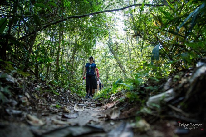 Caminhos da Floresta leva 120 trilheiros para o maior santuário de preservação animal de Santarém