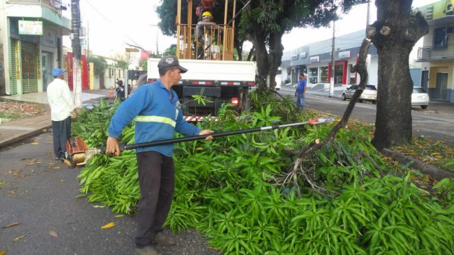 Para evitar acidentes, Prefeitura de Santarém realiza manutenção da arborização urbana