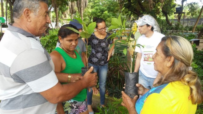 Mudas de plantas são distribuídas à população santarena no Parque da Cidade