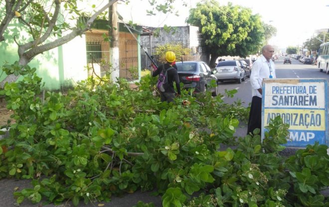 Prefeitura de Santarém intensifica serviços de poda de árvores na cidade