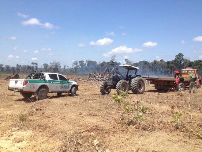 Operação flagra desmatamento em área entre Mojuí dos Campos e Santarém