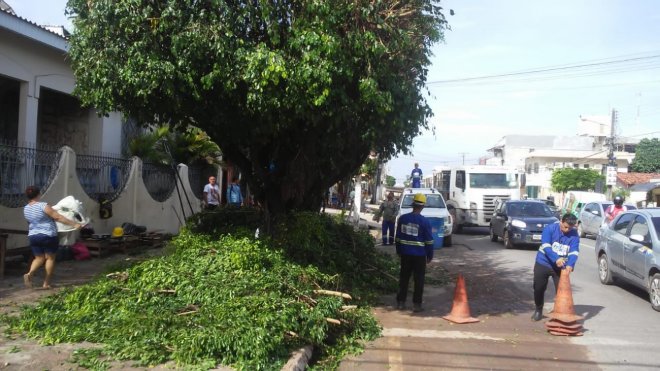 Percurso do Círio de Nossa Senhora da Conceição recebe serviços de arborização