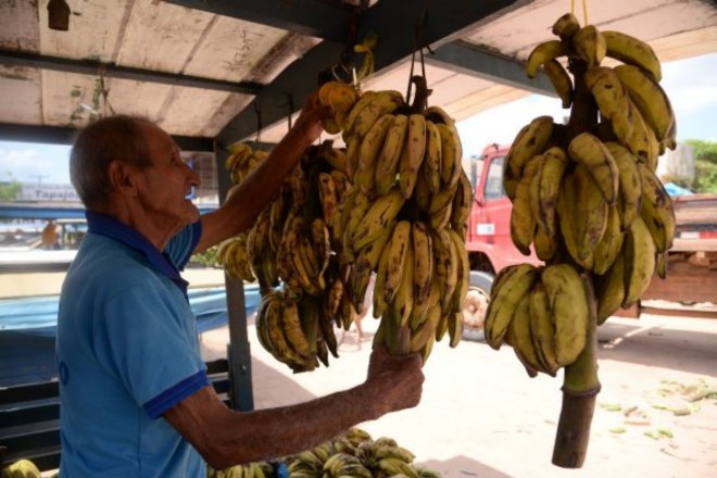 Permissionários de mercados e feiras tem até quarta-feira para quitar dívidas com 50% de desconto