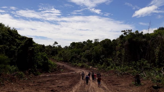 Secretário de Agricultura e Pesca vistoria obras de abertura de ramais na Região do Tapajós