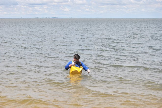 Técnicos iniciam novas coletas para os estudos de balneabilidade das praias de Santarém