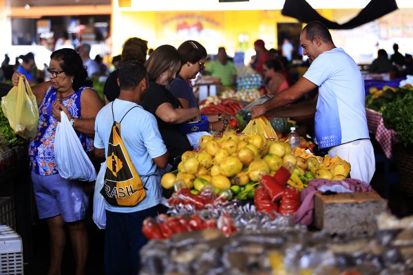 Ações da Prefeitura de Santarém valorizam o produtor rural