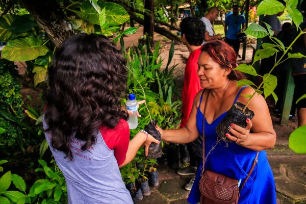 Prefeitura distribui mudas de plantas em homenagem ao Dia das Mães