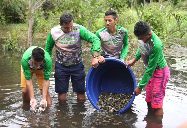 Projeto "Quelônio nas Águas" faz a soltura de 1 mil filhotes na natureza