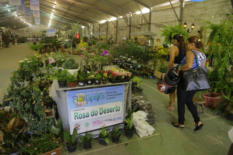 IV Feira Flor Tapajós é sucesso de vendas e valoriza floricultores em Santarém