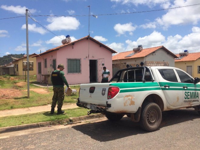 Cão vítima de maus-tratos é resgatado por fiscais da Semma