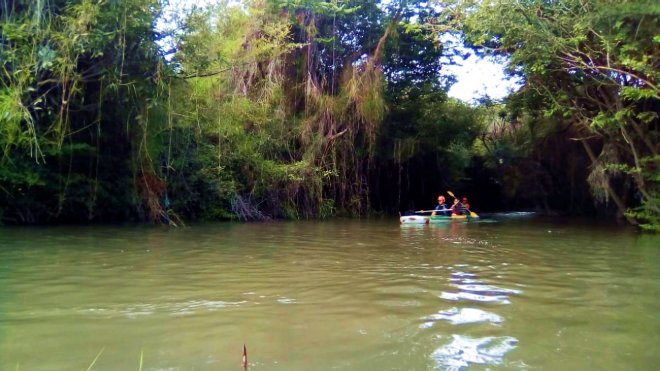 Turismo, Esporte e Aventura garantidos em passeio no Igarapé do São Braz