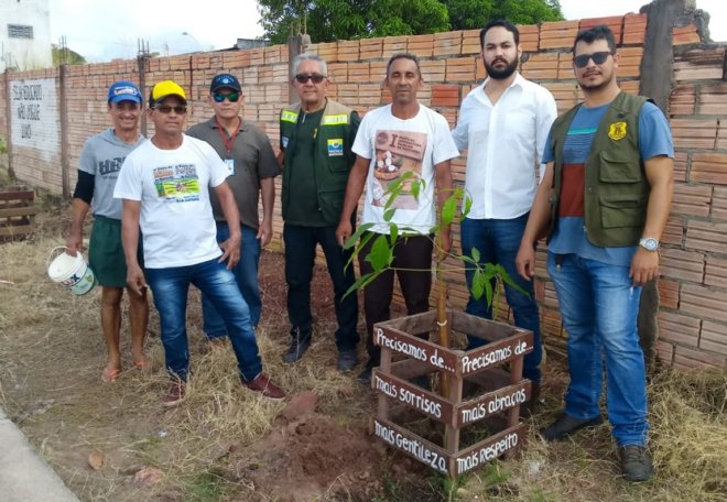 Prefeitura realiza plantio de mudas de Ipês-Rosa na Avenida Brasília