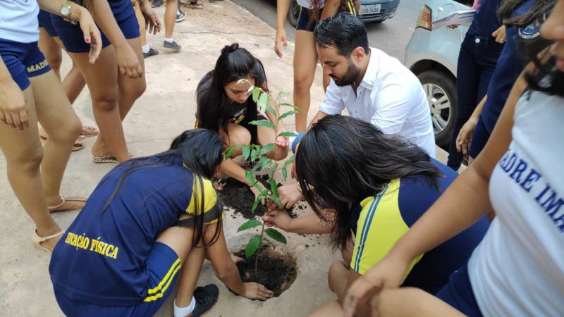 Projeto científico incentiva alunos a plantar mudas de árvores em área escolar