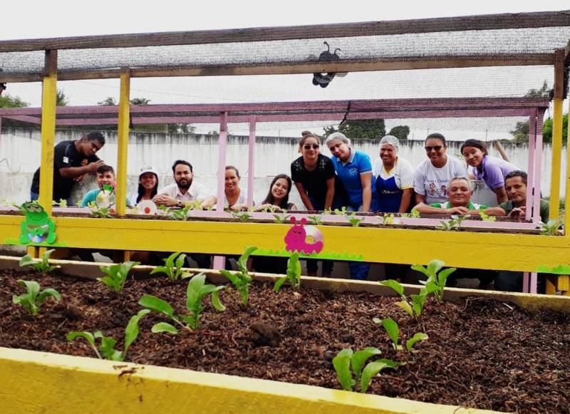 Compostagem é alternativa para transformar lixo orgânico em Horta Escolar