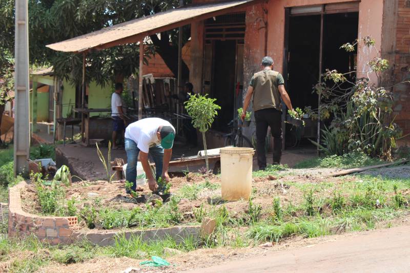 Obra substitui depósito irregular de lixo por jardim de flores em cruzamento do bairro Prainha