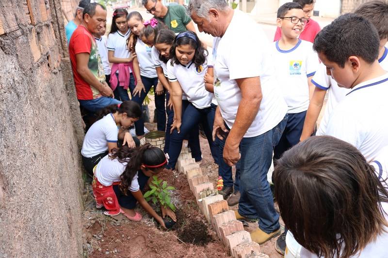 Mobilização inicia revitalização de jardim da Escola Maria Amália