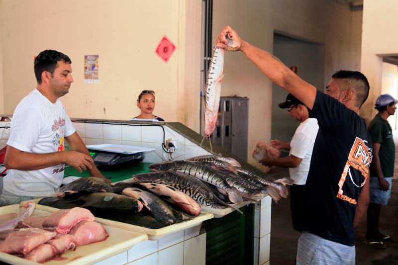 Prazo com desconto de até 100% para permissionários dos mercados municipais encerra nesta sexta-feira (29)