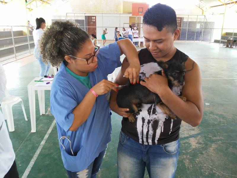 Prefeitura apoia ação de saúde animal nos bairros São Francisco, Vitória Régia e Nova República