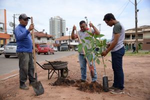 Prefeitura de Santarém promove plantio de mudas no Parque da Cidade