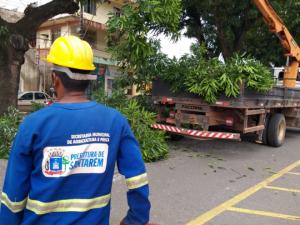 Prefeitura de Santarém realiza podas de árvores no Centro da Cidade como medida preventiva