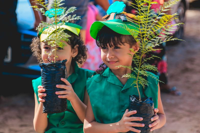 Projeto de arborização no bairro Santo André mobiliza moradores e instituições