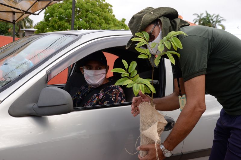 Dia Mundial do Meio Ambiente teve educação ambiental em embarcações e distribuição de mudas