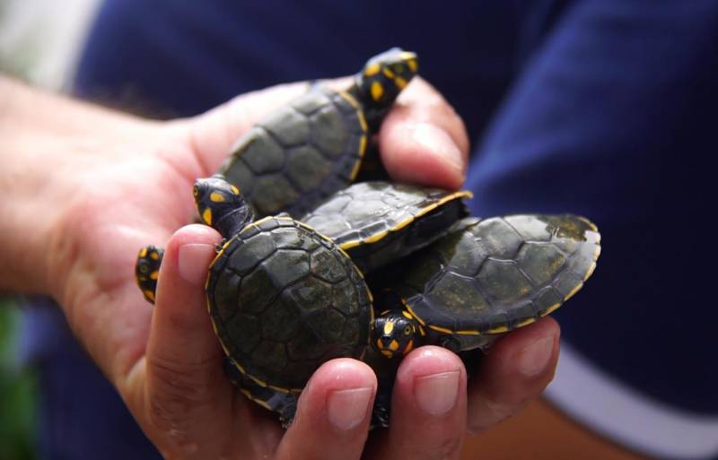 Dia Mundial da Biodiversidade: Cuidar dos ecossistemas é cada vez mais necessário