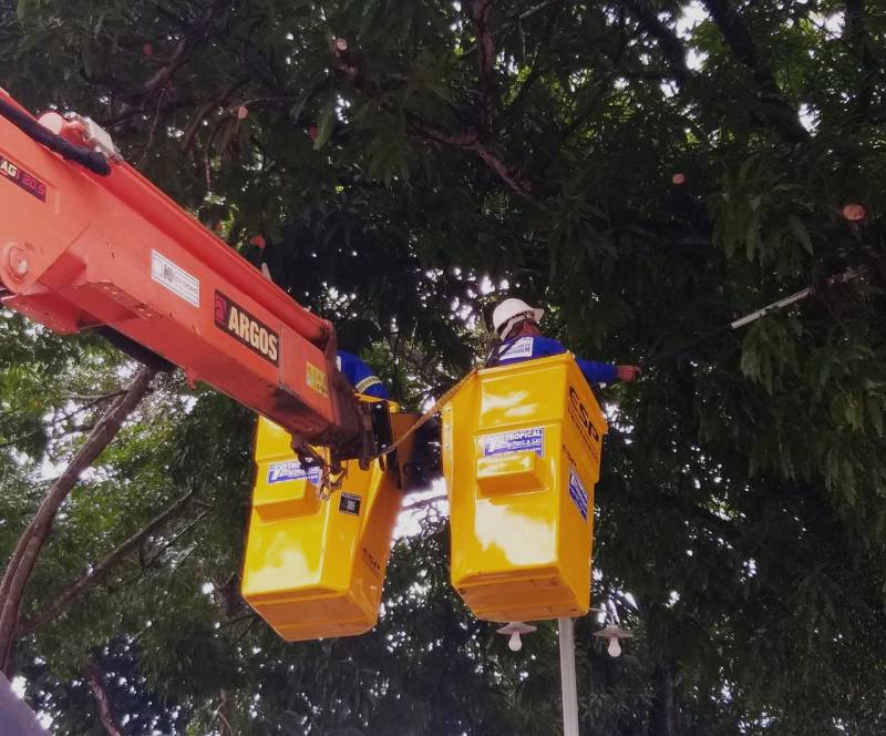 Prefeitura garante segurança com serviços de poda de árvores em praças públicas