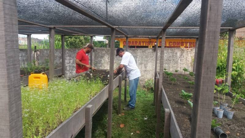 Projeto “Horta na Escola” estimula hábito alimentar saudável em Santarém