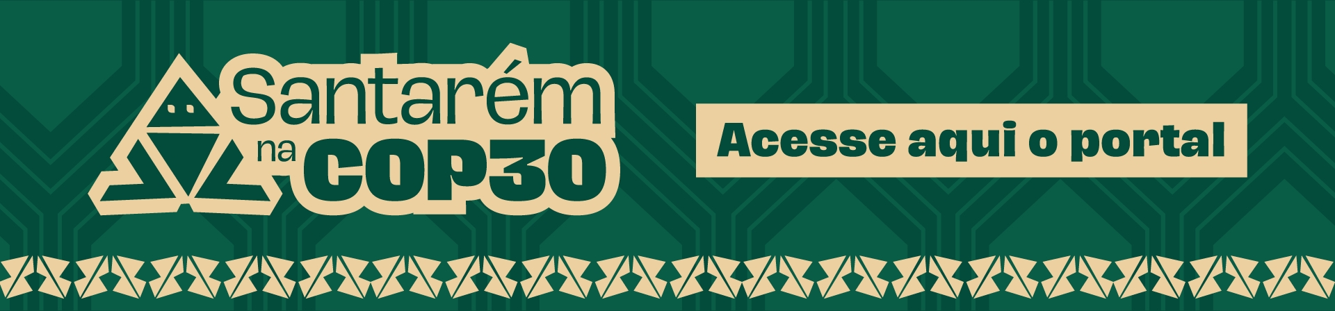 Imagem de Santarém na COP30 