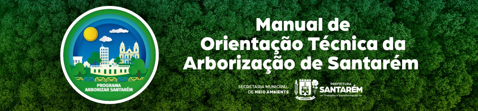 Imagem de Manual de Orientação Técnica de Arborização 