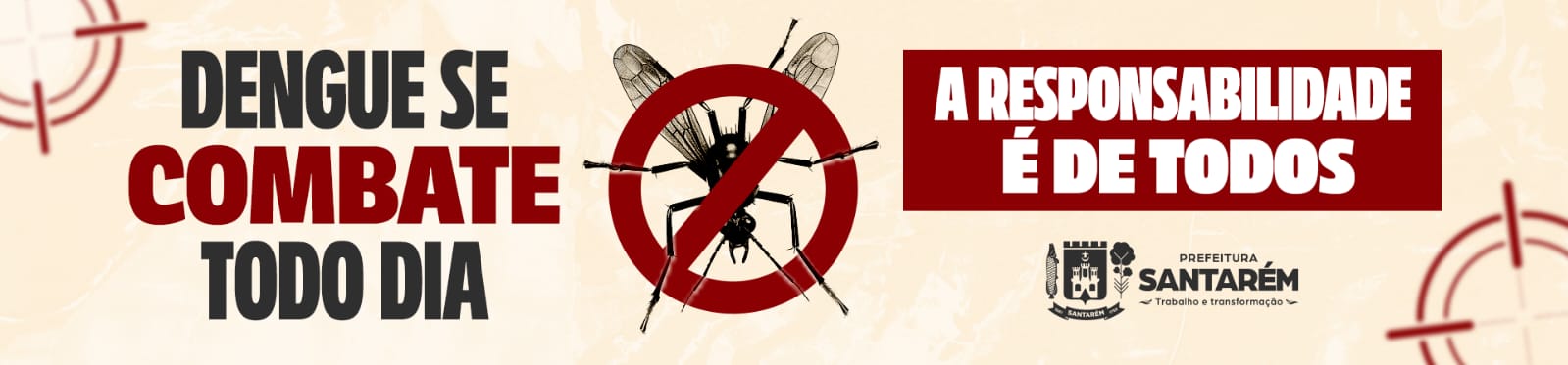 Imagem de DENGUE SE COMBATE TODO DIA 