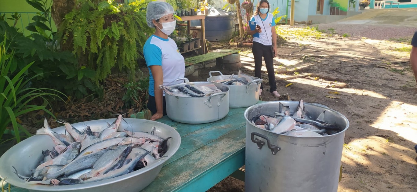 Prefeitura recebe doação de peixes da Adepará