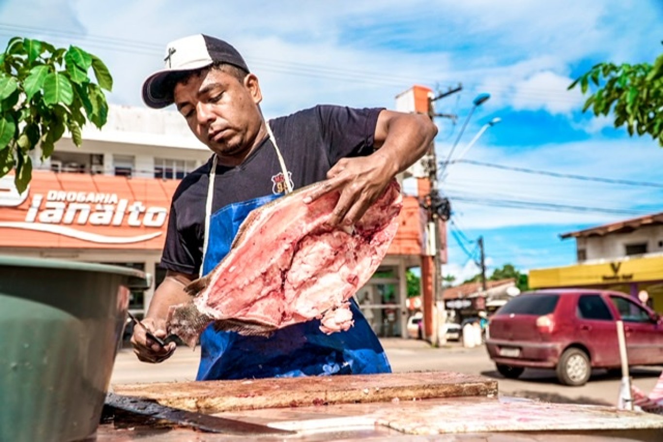 Tradicional Feira do Pescado em Santarém inicia nesta quarta-feira (16); confira valores e pontos de venda