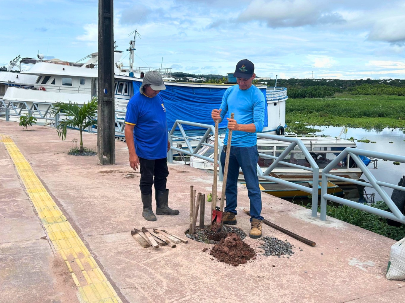 Imagem de Manutenção contínua fortalece arborização urbana na orla do Mapiri
