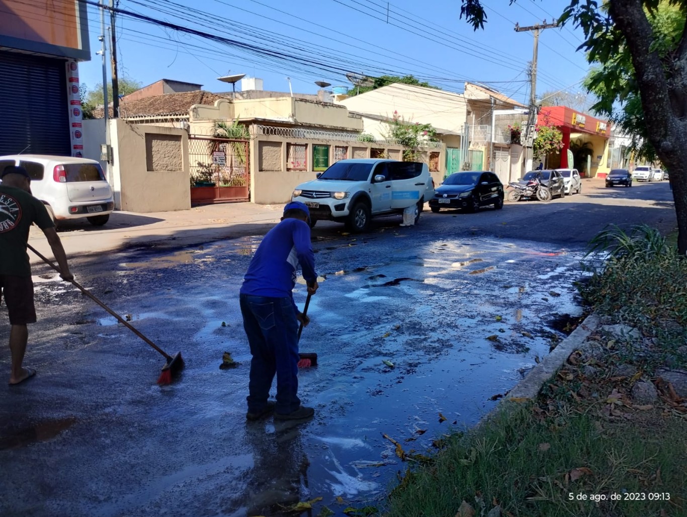 Ação de limpeza ameniza transtornos causados por garças em Santarém  