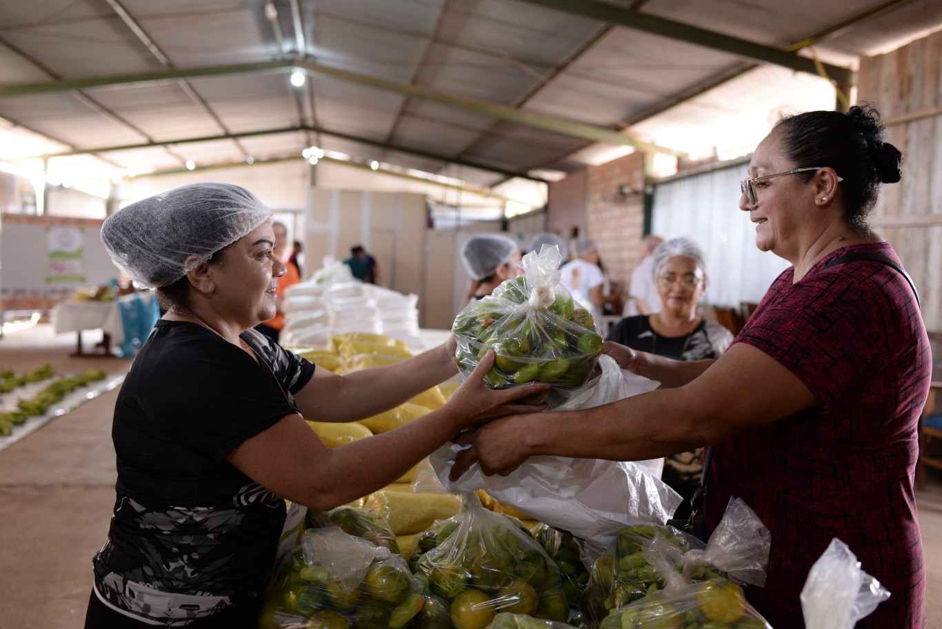 Imagem de 600 famílias dos bairros Salvação e Amparo recebem 20 toneladas de alimentos da Agricultura Familiar pelo PAA