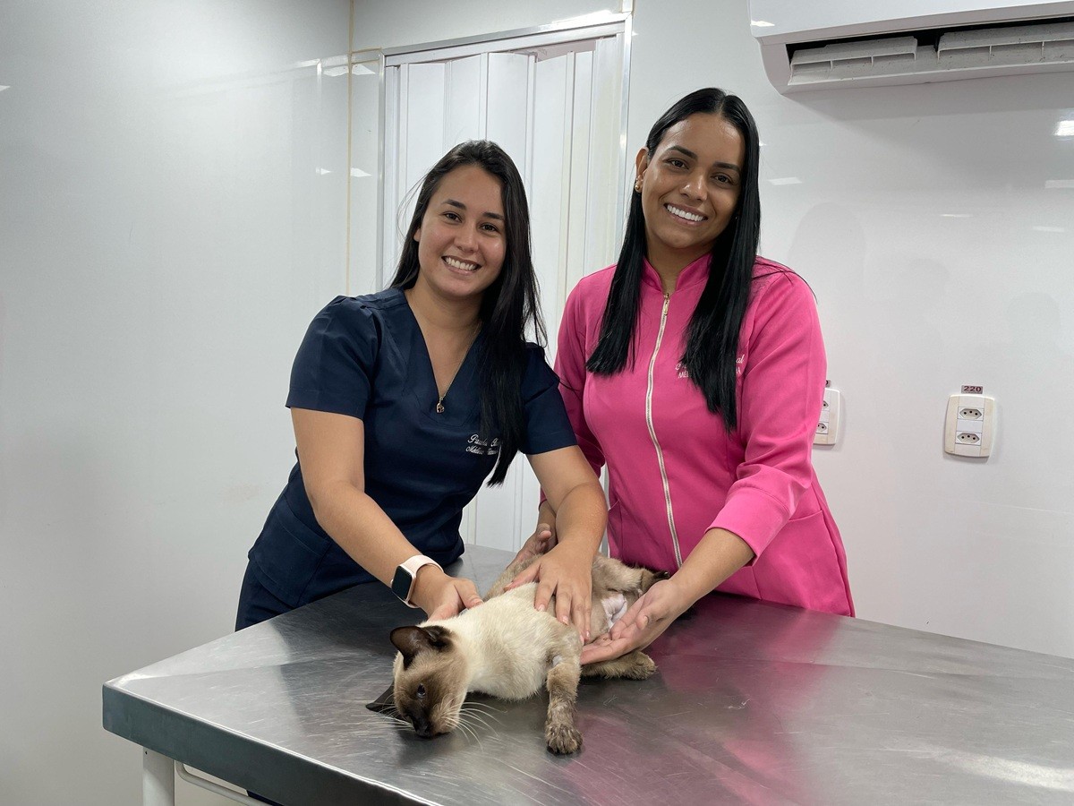 Imagem da notícia: Castramóvel abre 100 novas vagas para castração de gatos em Santarém